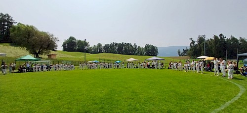 Pfingstranggeln, int. Alpencupranggeln