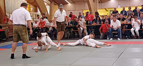 Alpenländermeisterschaft, int. Alpencupranggeln, 40 Jahre Rangglerverein Zillertal