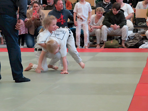 Salzburger Mannnschaftslandesmeisterschaft mit Einzelwertung