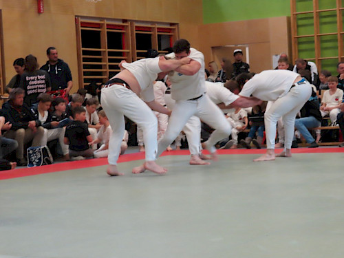 Salzburger Mannnschaftslandesmeisterschaft mit Einzelwertung