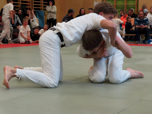 Salzburger Mannnschaftslandesmeisterschaft mit Einzelwertung