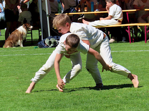 Int. Alpenländermeisterschaft, int. Alpencupranggeln